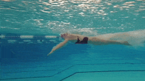 découvrez comment la natation peut vous aider à atteindre vos objectifs de minceur. améliorez votre forme physique, brûlez des calories efficacement et tonifiez votre corps tout en vous faisant plaisir dans l'eau. plongez dans les bienfaits de ce sport complet et ludique !